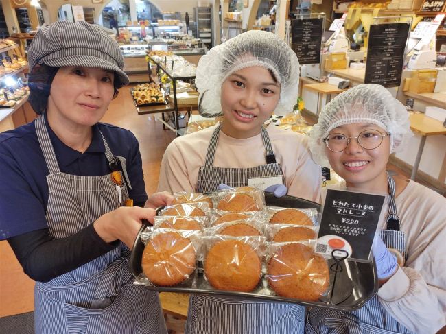 「とれたて小麦のマドレーヌ」満寿屋と畜大あぐりとかちが開発 限定販売