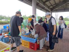 施設で育てた野菜の詰め放題は人気を集めた