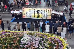白居易の漢詩「菊花」を書いた芽室高校書道部のパフォーマンス
