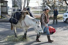 ２つの荷物を運ぶどさんこ「胡麻豆腐八夫」と高尾さん