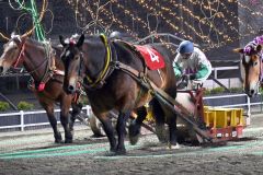 接戦を制して勝利したアローリキヒメと中山騎手