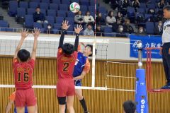 全日本バレーボール選手権大会・道代表決定戦