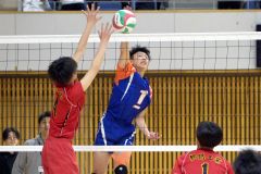 全日本バレーボール選手権大会・道代表決定戦