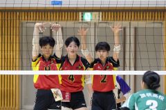 全日本バレーボール選手権大会・道代表決定戦