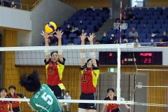 全日本バレーボール選手権大会・道代表決定戦