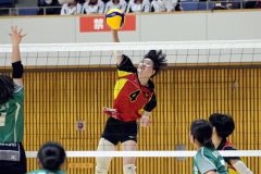 全日本バレーボール選手権大会・道代表決定戦