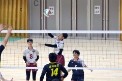 全日本バレーボール選手権大会・道代表決定戦