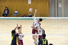 全日本バレーボール選手権大会・道代表決定戦