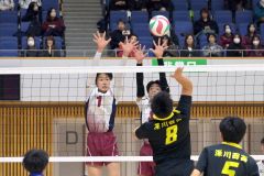 全日本バレーボール選手権大会・道代表決定戦