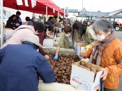 ジャガイモの詰め放題で品定めする来場者
