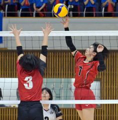 春高予選3日目