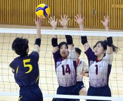 春高予選3日目