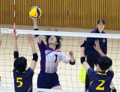 春高予選3日目
