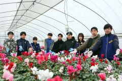 販売会の開催をＰＲする生徒ら