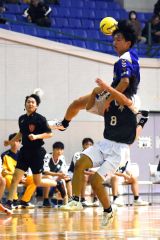 男子　帯三条―帯柏葉