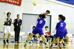 男子　帯三条―帯柏葉