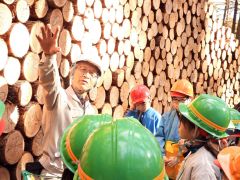 児童に森の働きなどを説明する杉江さん(左)