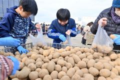 次々と袋にマチルダを詰めていく参加者たち