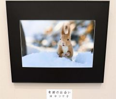 田中さんの作品「奇跡の出会い」