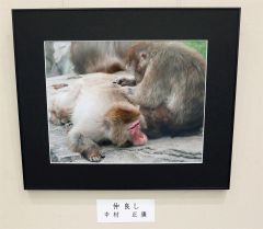 中村さんの作品「仲良し」