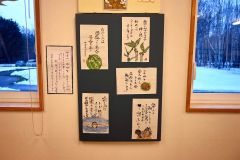 帯広の森はぐくーむで絵手紙展１