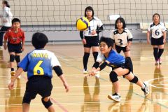 混合の部決勝　稲田ＪＶＣ―更別ＪＶＣ