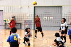 混合の部決勝　稲田ＪＶＣ―更別ＪＶＣ