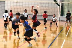 混合の部決勝　稲田ＪＶＣ―更別ＪＶＣ
