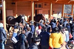 おびひろ動物園馬ふれあい舎オープン（金野和彦撮影）
