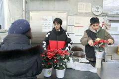 売れた鉢花をラッピングする生徒
