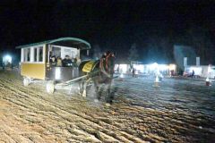 園内を走るばんばが引く馬車