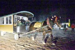園内を走るばんばが引く馬車
