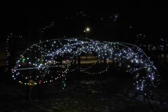 約３万個のＬＥＤ電球で村民を魅了したイルミネーション