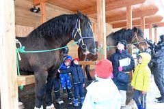 ばん馬の「ムホウマツゴロウ」と「トラシゲ」に触り「大きい！」と声を上げる参加者