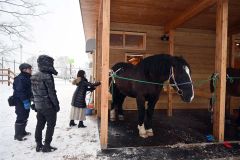ばん馬の「ムホウマツゴロウ」にブラシを掛ける参加者