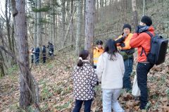 立ち枯れ木の状況を確認する参加者