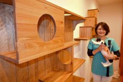 キャットルームで三毛猫のぬいぐるみを抱いてサンタの一般公開をＰＲする栗栖院長