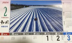 特賞を受賞し、カレンダーの２月に採用された　粟野さんの「野良イモ退治」