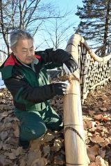 臥龍垣を点検する阿部造園の阿部社長