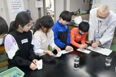 煮干しの解剖をする帯広明星小の５年生