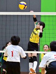 帯広ＪＪＢがＡブロックＶ　石井杯帯広市小学バレーボール 11
