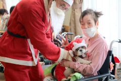 セラピー犬と触れ合う利用者