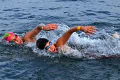 オープンウォータースイミングの日本選手権で力強く水をかく蝦名愛梨（手前。２０２３年、１１月）