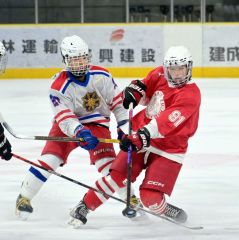 道高校アイスホッケー選手権・最終日