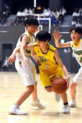 女子決勝　帯西陵―美幌北・美幌・津別