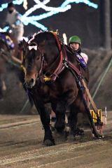 積極的な先行策で今季重賞初勝利を挙げたメジロゴーリキと鈴木恵介騎手