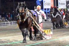 異次元の末脚で「４歳三冠」を制したキングフェスタ