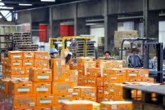 新年交礼会を終えて通常の業務に戻った帯広地方卸売市場（５日午前７時半ごろ、平栗玲香通信員撮影）