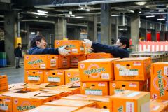 新年交礼会を終えて通常の業務に戻った帯広地方卸売市場（５日午前７時２５分ごろ、平栗玲香通信員撮影）