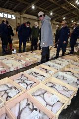 今年最初の競りが行われた広尾漁協の地方卸売市場